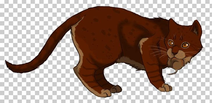 Tabby Cat Whiskers Warriors Kitten PNG, Clipart, Activity, Animal, Animals, Carnivoran, Cat Like Mammal Free PNG Download