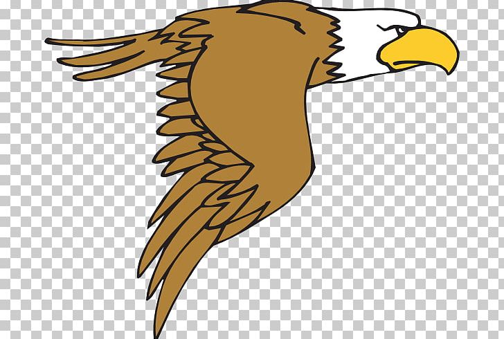 Bald Eagle Bird Cartoon PNG, Clipart, Bald Eagle, Beak, Bird, Bird Flight, Bird Of Prey Free PNG Download