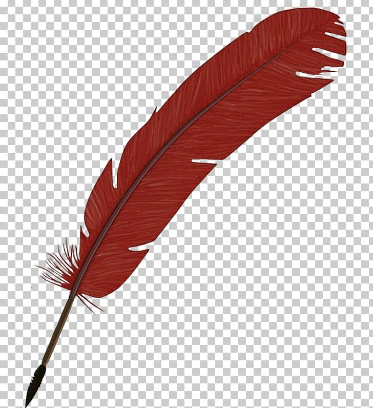 Feather Gratis PNG, Clipart, Animals, Creative, Decoration, Download, Drawing Free PNG Download