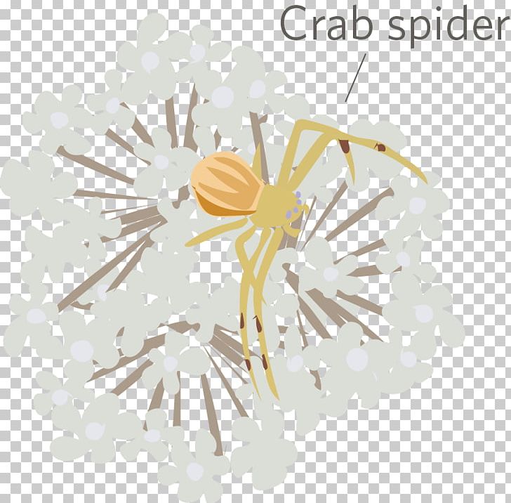 Line Organism PNG, Clipart, Art, Line, Organism, Yellow Free PNG Download