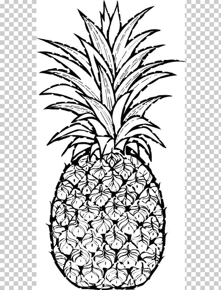Pineapple Drawing PNG, Clipart, Art, Artwork, Black And White, Branch, Drawing Free PNG Download