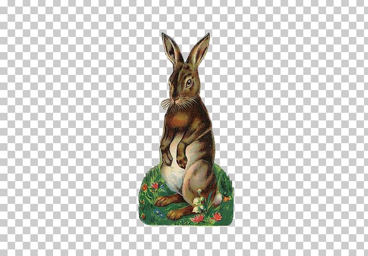 Easter Bunny Hare Easter Postcard PNG, Clipart, Animal, Animals, Cartoon, Easter, Easter Bunny Free PNG Download