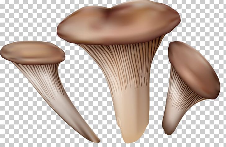 Pleurotus Eryngii Mushroom Fungus Illustration PNG, Clipart, Cartoon, Common Mushroom, Download, Drawing, Edible Mushroom Free PNG Download