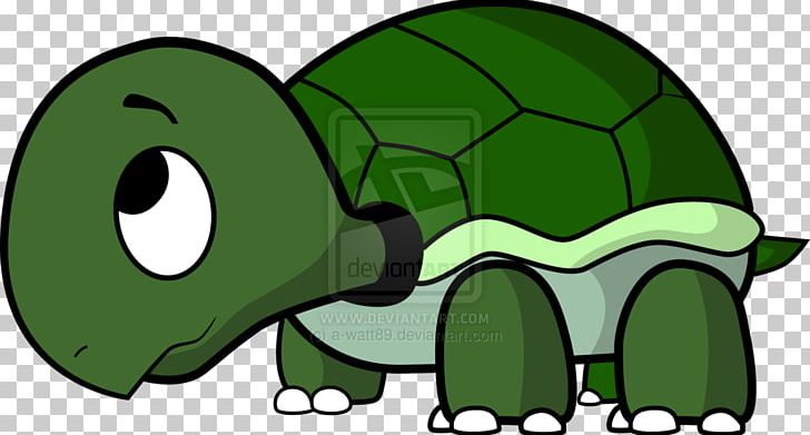 Tom Turtle Drawing PNG, Clipart, Animals, Animation, Bitcoin Unlimited, Book, Cartoon Free PNG Download