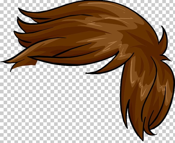 Club Penguin Hair Face Head PNG, Clipart, Anatomy, Animals, Animation, Blond, Body Free PNG Download