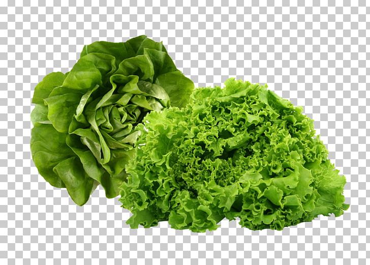 Leaf Vegetable Health Food Butterhead Lettuce PNG, Clipart, Broc, Butterhead Lettuce, Calorie, Cruciferous Vegetables, Diet Free PNG Download