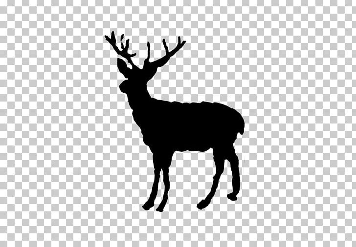 Reindeer Red Deer Elk Christmas PNG, Clipart, Animals, Antler, Black, Christmas, Christmas Animals Free PNG Download