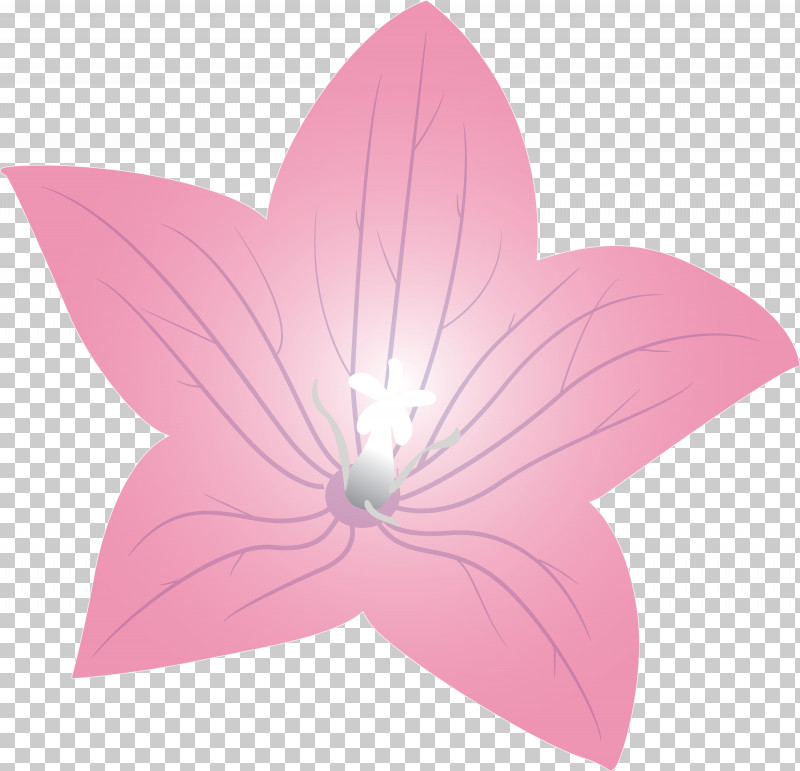 Balloon Flower PNG, Clipart, Balloon Flower, Biology, Flora, Flower, Leaf Free PNG Download