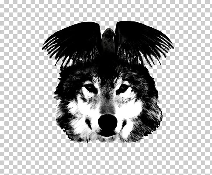 Dog Breed Common Raven Drawing PNG, Clipart, Animals, Arctic Wolf, Black And White, Black Wolf, Canis Free PNG Download