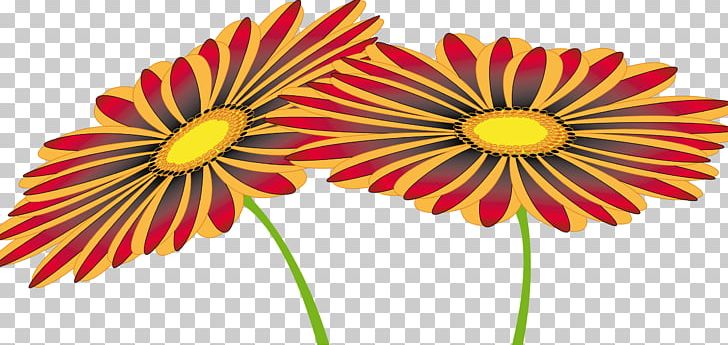 Flower Umbrella PNG, Clipart, Animation, Chrysanths, Cut Flowers, Daisy, Daisy Family Free PNG Download