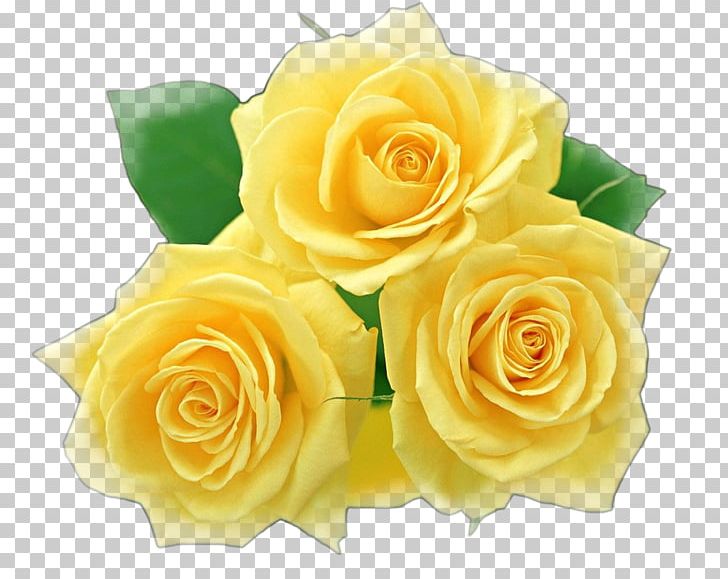 Rose Desktop File Formats PNG, Clipart, Download, Encapsulated Postscript, Floral Design, Floristry, Flower Free PNG Download