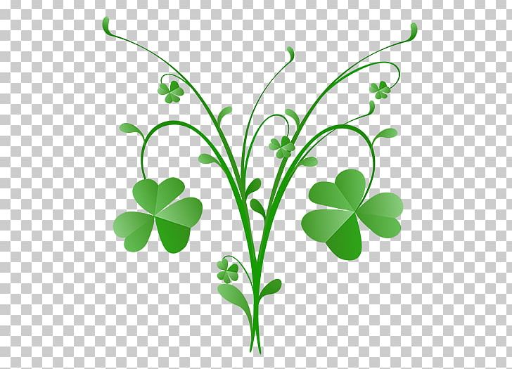 Saint Patrick's Day Clover PNG, Clipart, 2016, 2017, Branch, Clover, Flower Free PNG Download