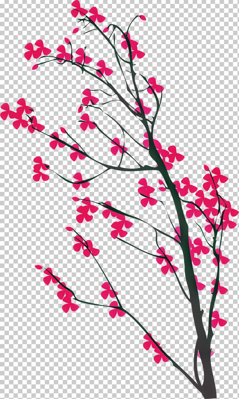 Cherry Flower PNG, Clipart, Blossom, Branch, Cherry Blossom, Cherry Flower, Cut Flowers Free PNG Download