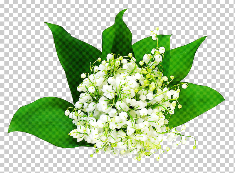 Floral Design PNG, Clipart, Aesthetics, Annees 60, Cut Flowers, Floral Design, Flower Free PNG Download