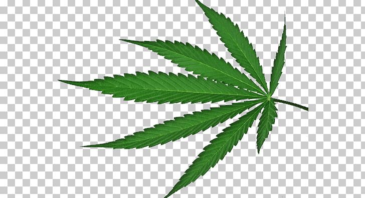 Cannabis PNG, Clipart, Cannabis Free PNG Download