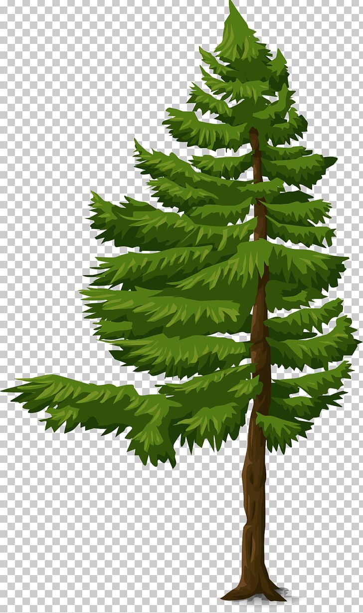 Leaf Branch Landscape PNG, Clipart, Branch, Christmas Tree, Conifer, Drawing, Evergreen Free PNG Download