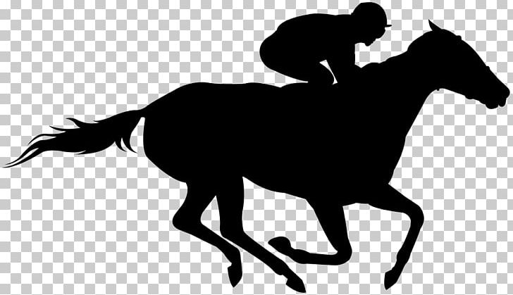 free racehorse clipart