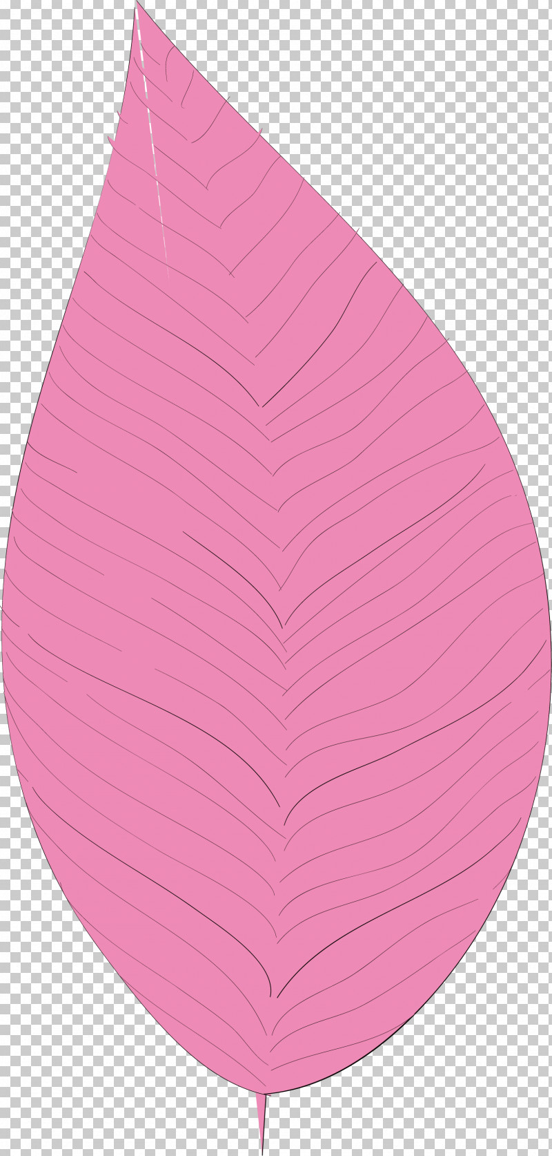 Simple Leaf Simple Leaf Drawing Simple Leaf Outline PNG, Clipart, Biology, Leaf, Pink M, Plants, Plant Structure Free PNG Download