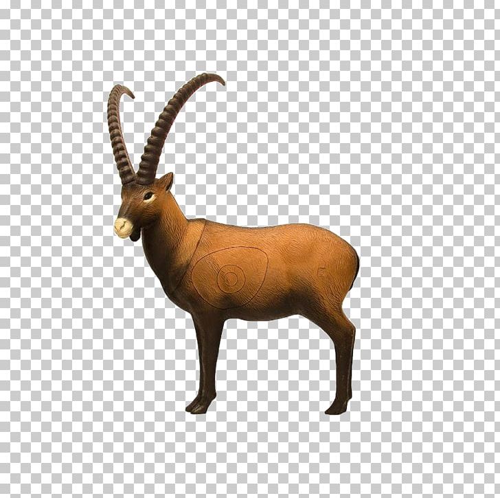 Alpine Ibex Chamois Archery Antler Hunting PNG, Clipart, Accessories, Alpine Ibex, Animal, Antler, Archery Free PNG Download