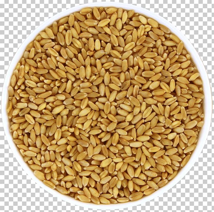 Oat Organic Food Whole Grain Cereal PNG, Clipart, Avena, Cereal, Cereal Germ, Commodity, Common Wheat Free PNG Download