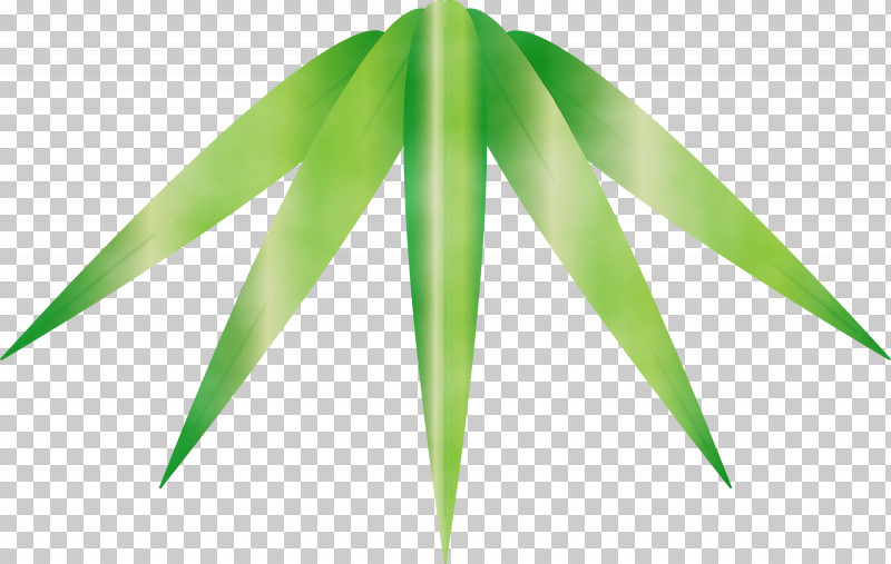 Leaf Green Plant Grass Tree PNG, Clipart, Bamboo, Flower, Grass, Green, Leaf Free PNG Download