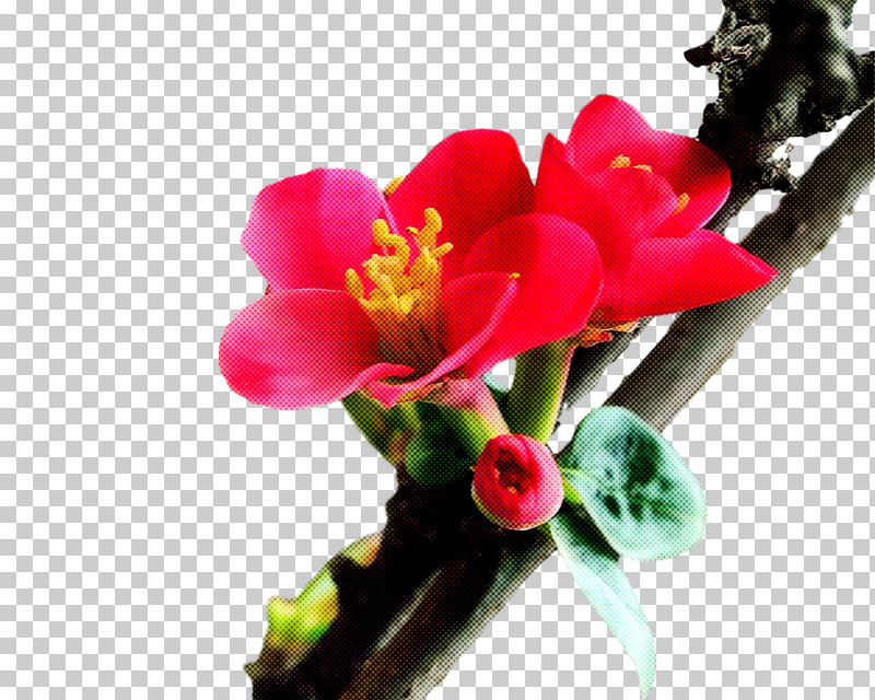 Artificial Flower PNG, Clipart, Artificial Flower, Banksia, Branch, Cut Flowers, Flower Free PNG Download