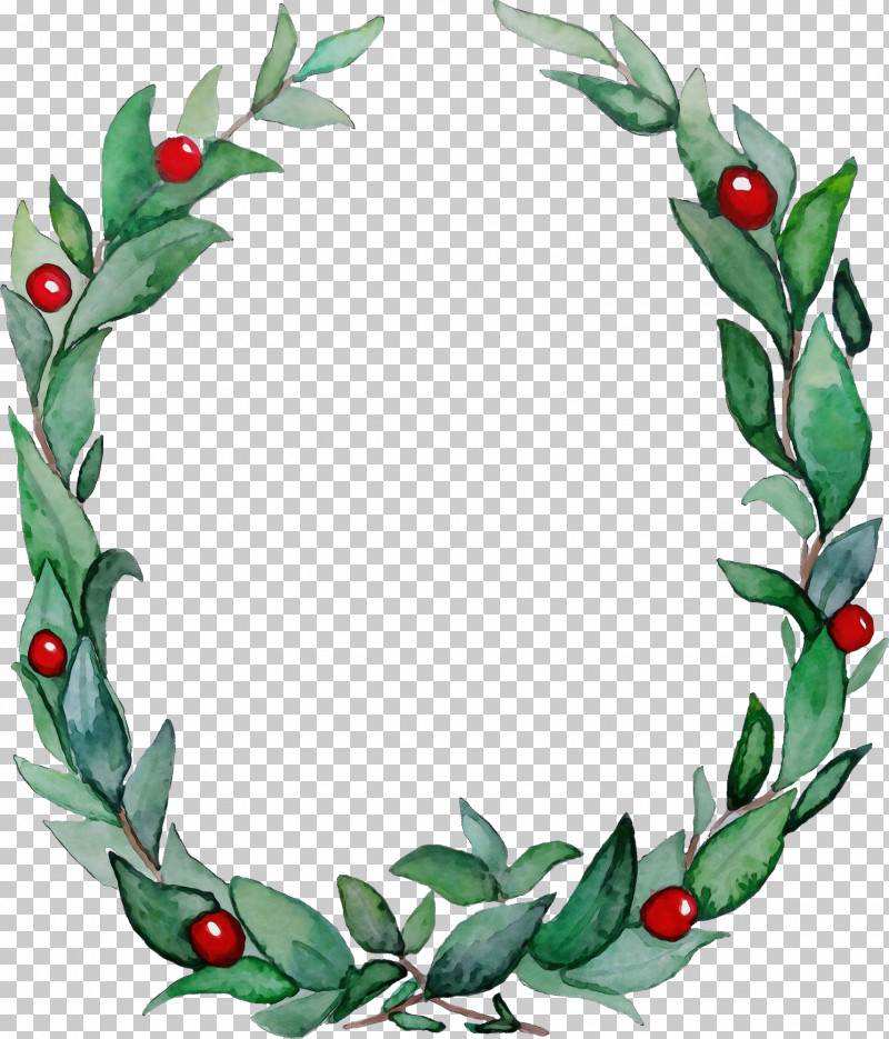 Holly PNG, Clipart, Flower, Holly, Paint, Plant, Watercolor Free PNG Download