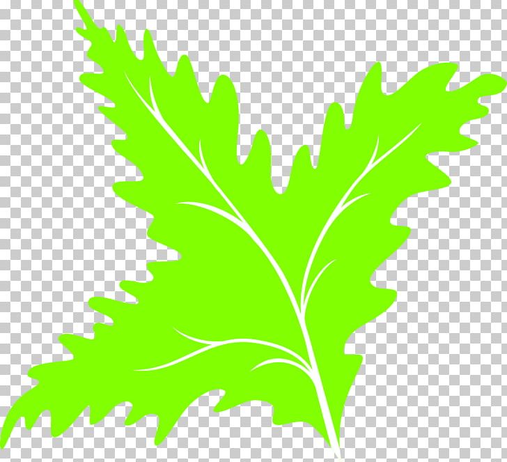 Leaf Green Computer Icons PNG, Clipart, Branch, Computer Icons, Euclidean Vector, Grass, Green Free PNG Download