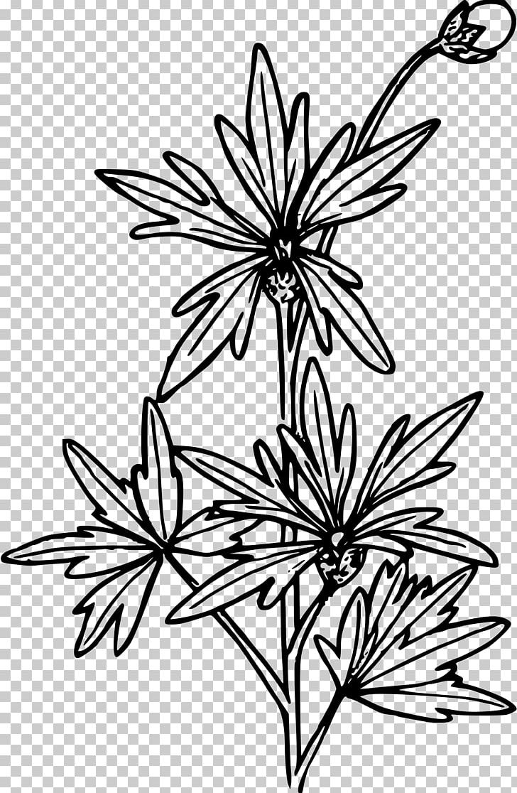 Line Art Drawing PNG, Clipart, Artwork, Black And White, Branch, Chinese Flower, Computer Icons Free PNG Download