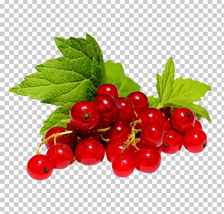 Zante Currant Redcurrant Blackcurrant Berry White Currant PNG, Clipart, Berry, Bilberry, Blackberry, Blackcurrant, Boysenberry Free PNG Download