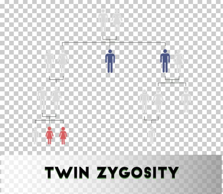 Zygosity Twin Dizigotiniai Dvyniai DNA Paternity Testing Paternity Testing Corporation PNG, Clipart, 2 K 16, Brand, Diagram, Dizigotiniai Dvyniai, Dna Free PNG Download