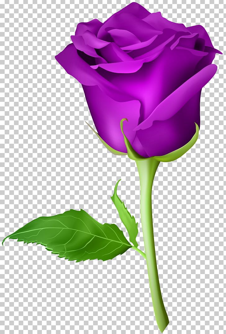 Blue Rose Artificial Flower PNG, Clipart, Blue, Bud, Clipart, Closeup, Color Free PNG Download