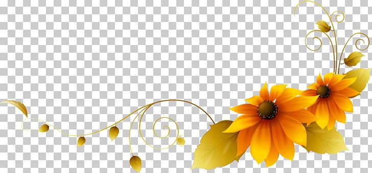 Holiday International Women's Day Flower 8 March PNG, Clipart, 8 March, 2015, Blog, Computer Wallpaper, Daisy Free PNG Download