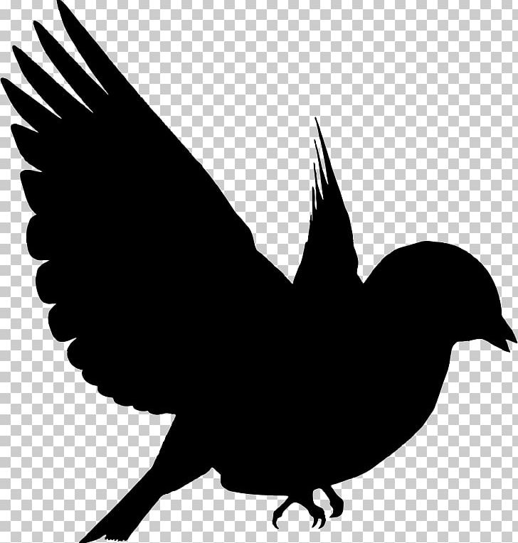 Bird Silhouette Drawing PNG, Clipart, American Crow, Animals, Art, Beak, Bird Free PNG Download