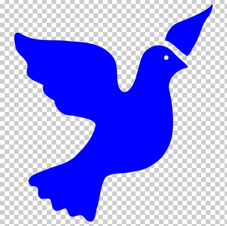 Columbidae Peace Symbols PNG, Clipart, Beak, Bird, Blue, Cobalt Blue, Columbidae Free PNG Download