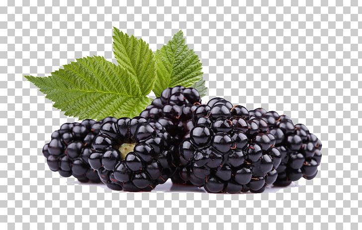 Frutti Di Bosco Black Raspberry Blackberry Fruit PNG, Clipart, Berry, Bilberry, Blackberry, Black Raspberry, Blueberry Free PNG Download