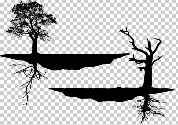 Hawaii Silhouette PNG, Clipart, Animals, Art, Black And White, Branch, Floating Island Free PNG Download