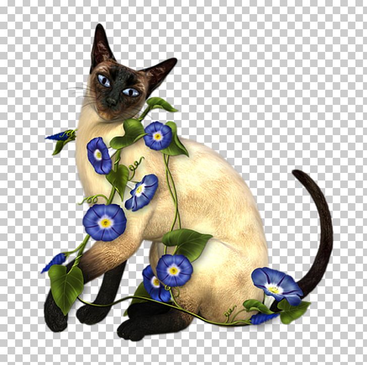 Siamese Cat Thai Cat Foreign White Kitten PNG, Clipart, Animal, Animals, Art, Black Cat, Blue Free PNG Download