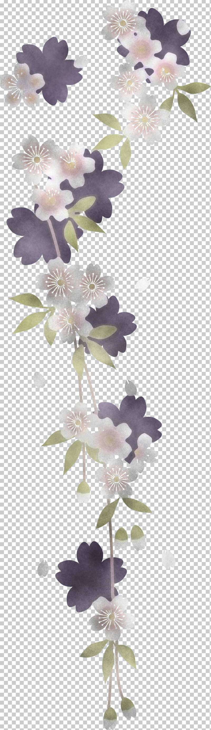 Cherry Flower PNG, Clipart, Blossom, Branch, Cherry Flower, Flower, Lilac Free PNG Download