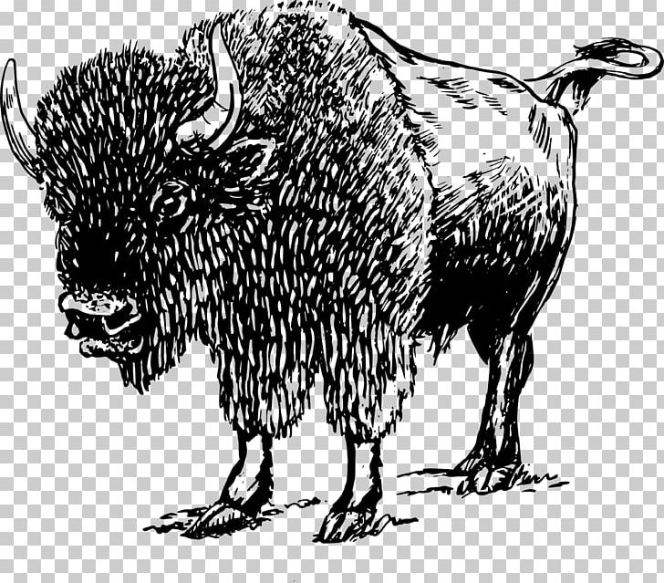 American Bison Drawing PNG, Clipart, American , Art, Bison, Black And White, Bull Free PNG Download