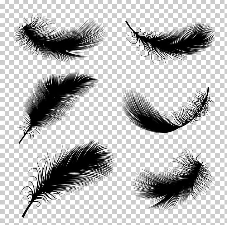 Bird Feather Drawing Illustration PNG, Clipart, Animals, Black And White, Black Hair, Closeup, Euclidean Vector Free PNG Download