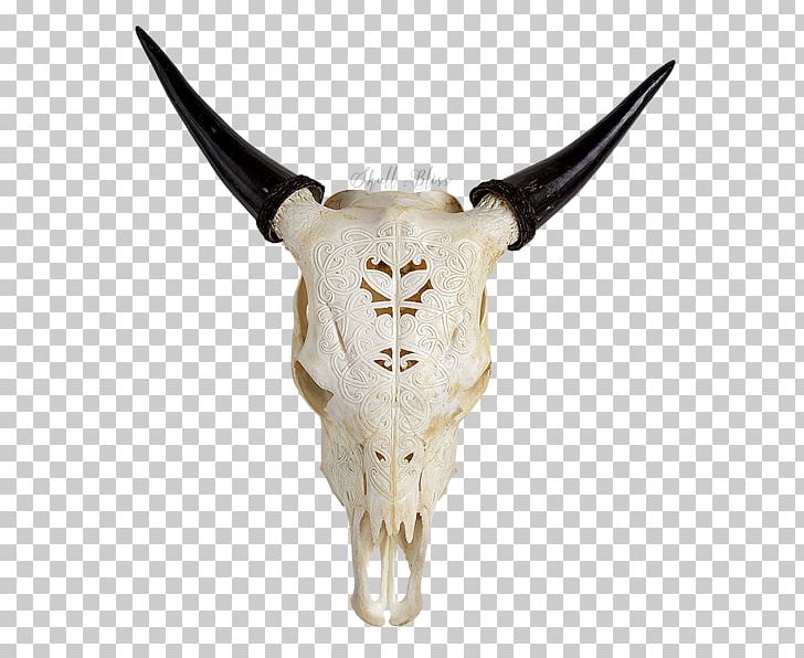 Cattle Skull XL Horns Turquoise PNG, Clipart, Allure, Bone, Carve, Cattle, Cattle Like Mammal Free PNG Download