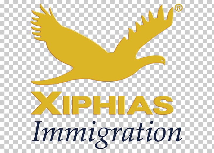 XIPHIAS Immigration DMCC Logo Immigration Consultant Travel Visa PNG, Clipart, Area, Artwork, Beak, Bird, Brand Free PNG Download