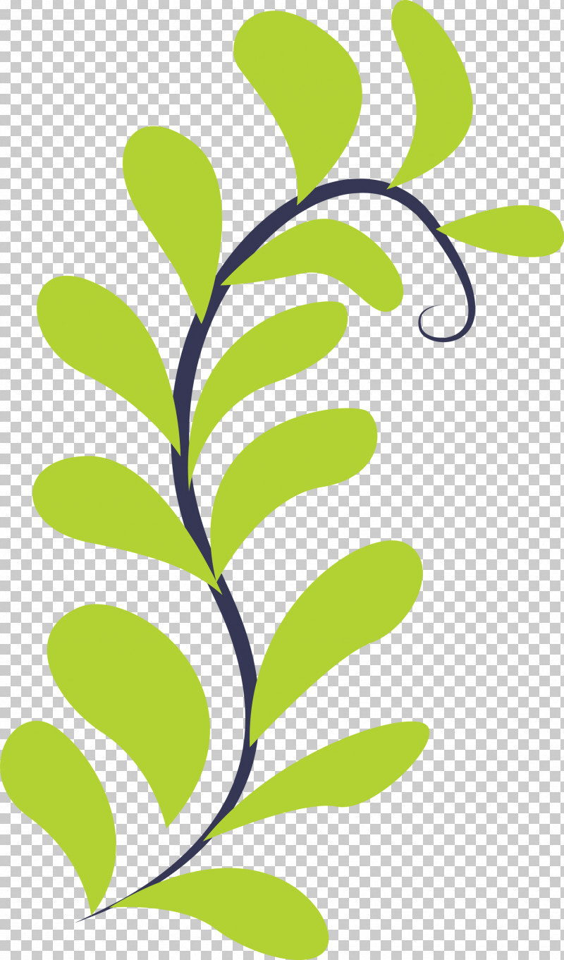 Plant Stem Leaf Green Flower Text PNG, Clipart, Area, Biology, Flower, Green, Leaf Free PNG Download