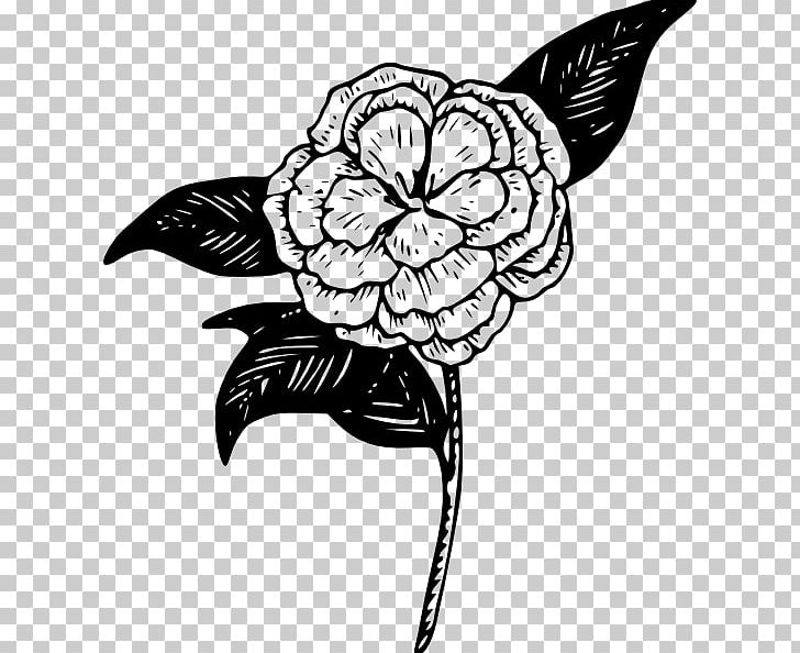 Computer Icons Camellia PNG, Clipart, Art, Artwork, Bird, Black, Black And White Free PNG Download