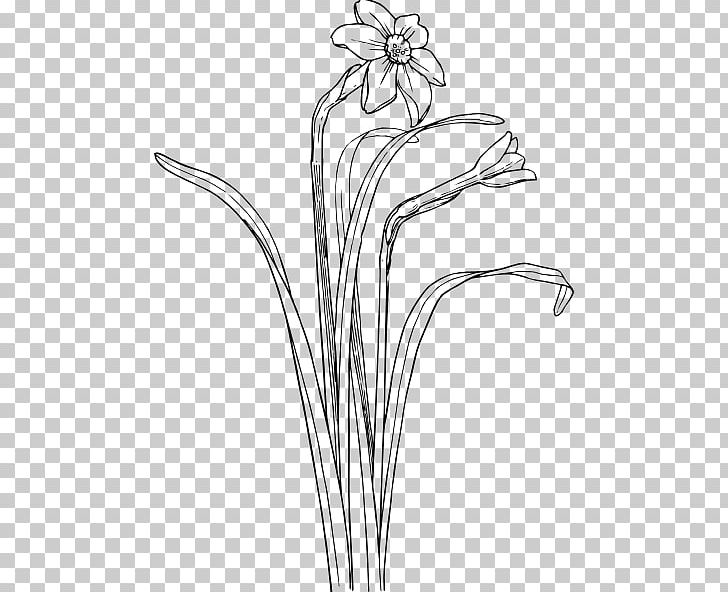 Drawing Plant Stem Flower PNG, Clipart, Artwork, Black And White, Branch, Camellia Sinensis Leaf, Cut Flowers Free PNG Download