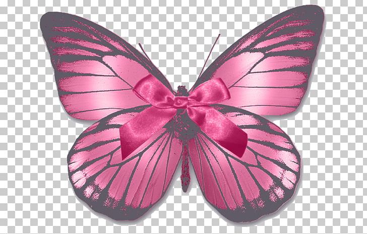 Monarch Butterfly Insect Brush-footed Butterflies PNG, Clipart, Aime, Aller, Art, Arthropod, Brush Footed Butterfly Free PNG Download