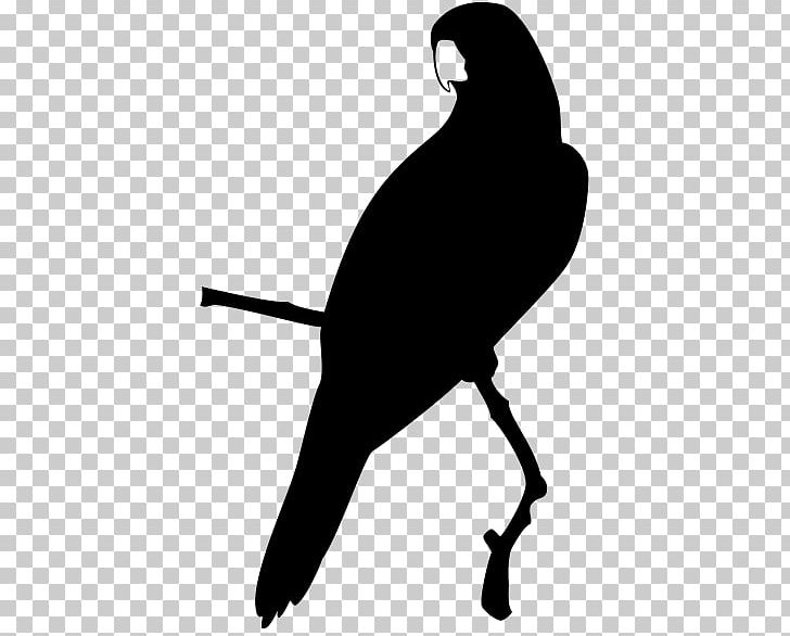 Parrot Computer Icons Beak PNG, Clipart, Animals, Beak, Bird, Black, Black And White Free PNG Download
