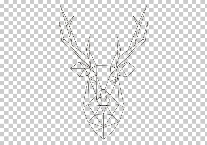 Reindeer Antler PNG, Clipart, Angle, Animals, Antler, Artwork, Black And White Free PNG Download
