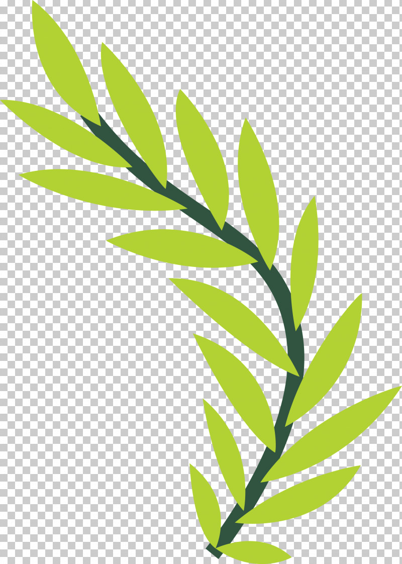 Plant Stem Leaf Grasses Line Meter PNG, Clipart, Biology, Grasses, Leaf, Line, Meter Free PNG Download